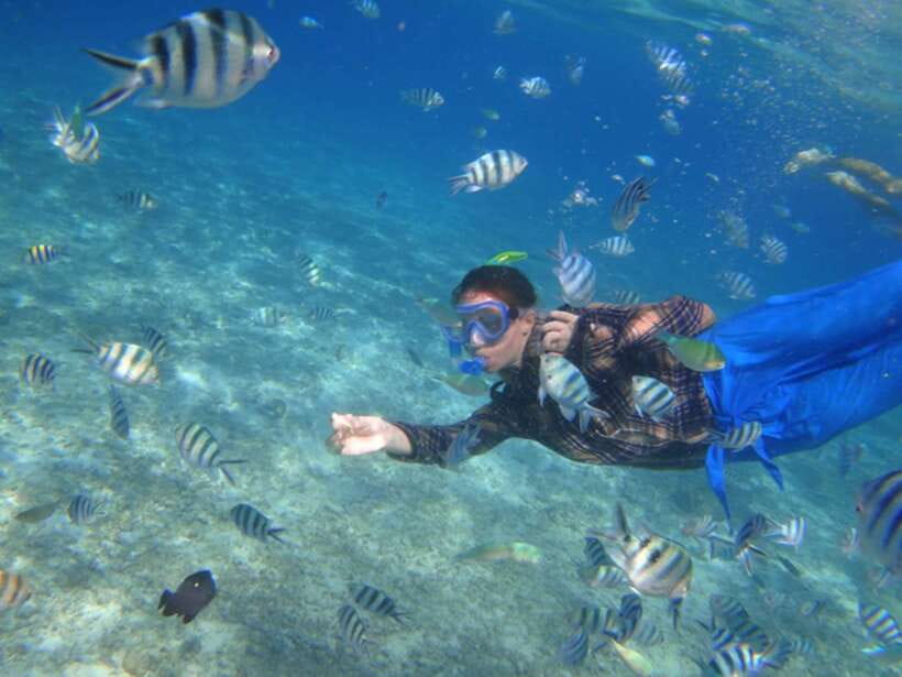 El Nido: Island Hopping Tour A Lagoons and Beaches - Shared boat or private group?