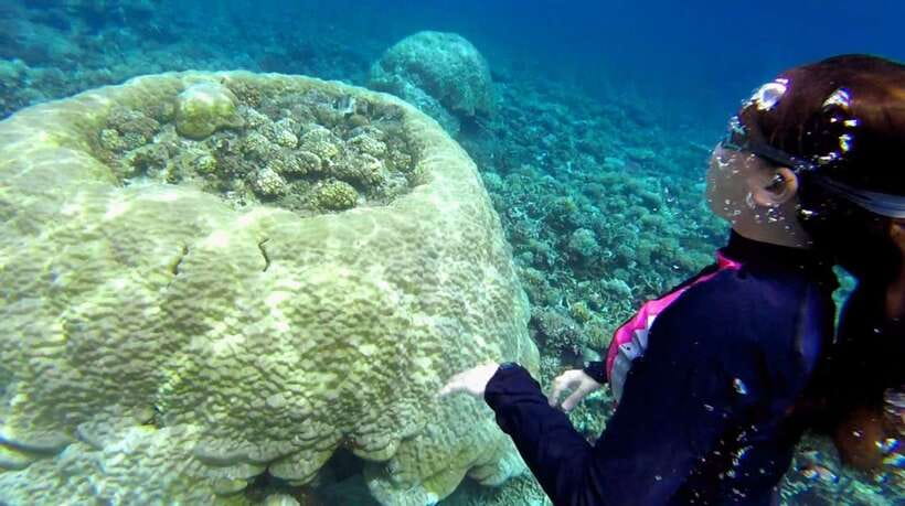 El Nido: Island Hopping Tour B Cudognong Cave & More - Why Tour B takes you somewhere different