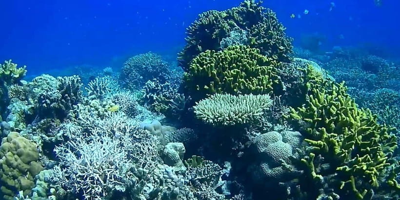 El Nido, Sibaltan: Private Snorkeling & Secret Islands Tour - How private is the experience?