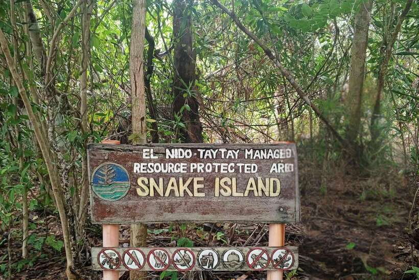 El Nido: Tour B with Snake Island, Cudugnon Cave, and More - Quick points to know before booking