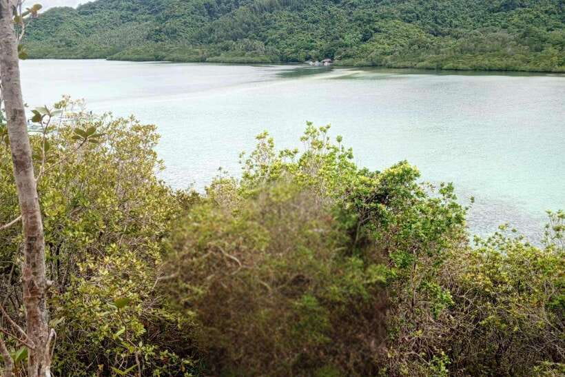 El Nido: Tour B with Snake Island, Cudugnon Cave, and More - Why Snake Island gives Tour B its character