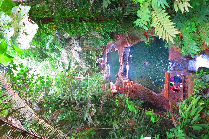 Escape to Enchanting Hidden Valley Springs! with Transfers*** - Walking into the tropical grounds