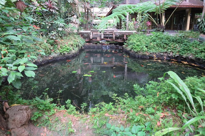 Escape to Enchanting Hidden Valley Springs! with Transfers*** - The waterfall walk and what it adds