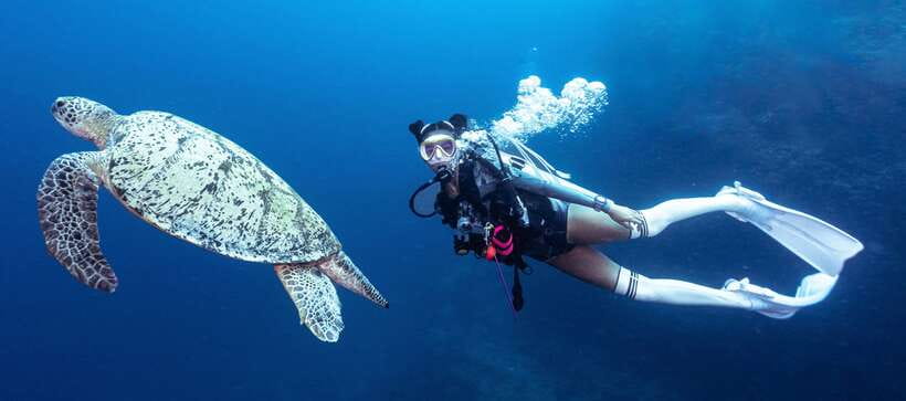 Fisheye Divers: Discover Scuba Diving - Key points to know before you book