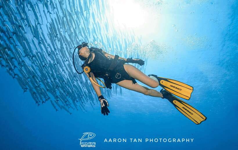 Fisheye Divers: Discover Scuba Diving - Shallow-water practice before the boat ride