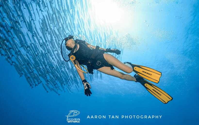 Fisheye Divers: Discover Scuba Diving - Forty-five minutes among coral and marine life