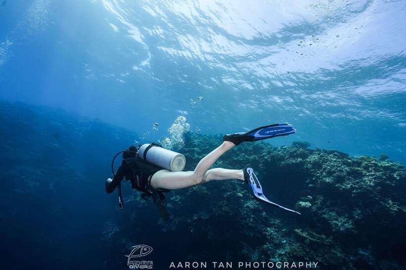 Fisheye Divers: Discover Scuba Diving - The briefing makes the difference for beginners