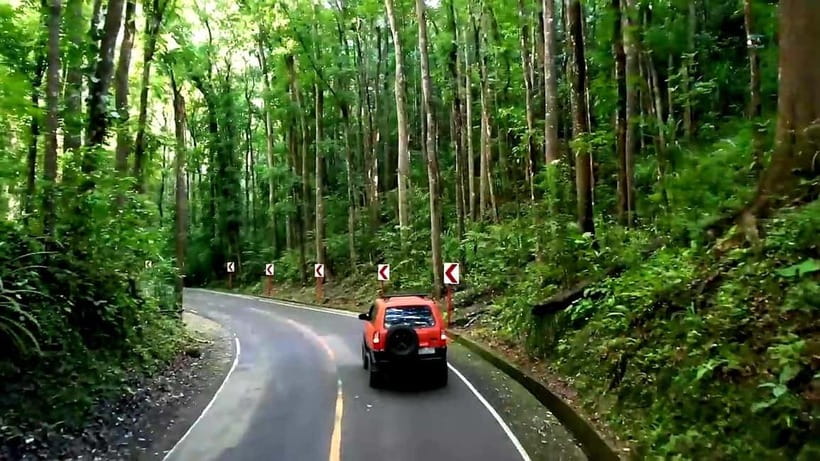 From Cebu: Bohol Countryside & Buffet Lunch Exclusive Tour - A very long day, but an efficient way to see Bohol