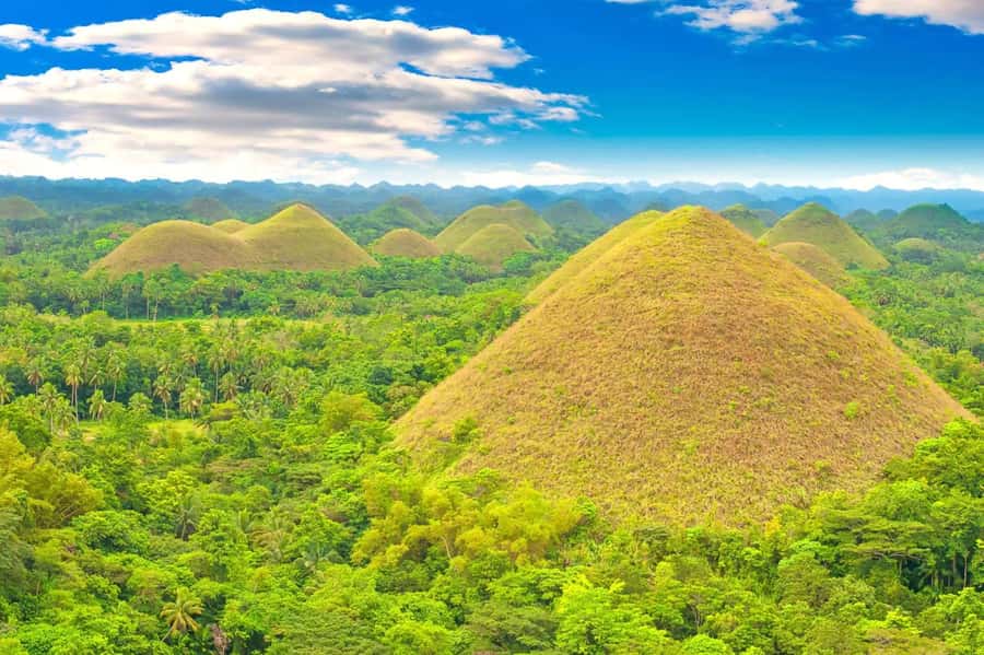 From Cebu: Bohol Countryside Private Tour with Buffet Lunch - Chocolate Hills from the viewing deck