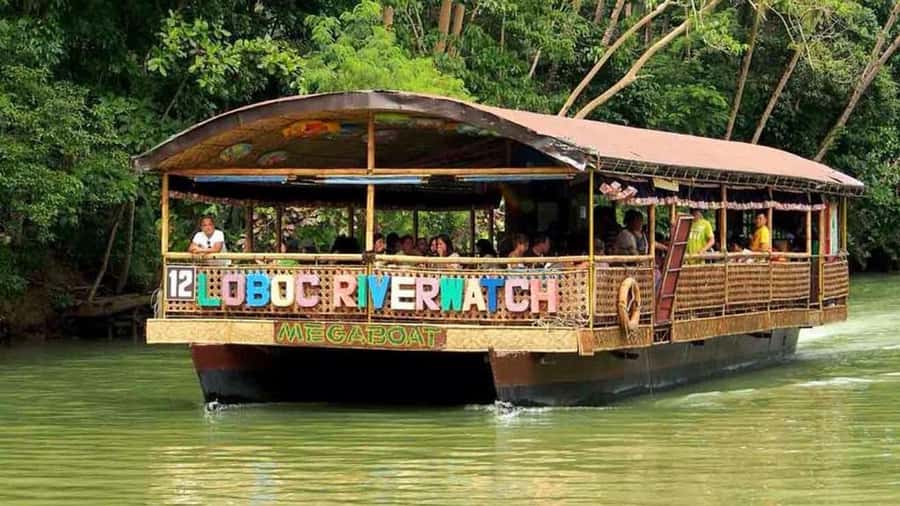 From Cebu: Bohol Countryside Private Tour with Buffet Lunch - The return ferry and the real pace of the day