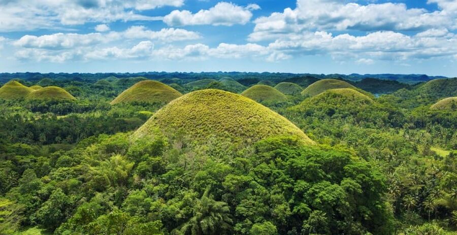 From Cebu City: Bohol Island Highlights in One Day - Who will enjoy this Bohol day trip