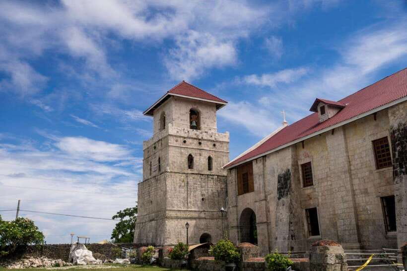 From Cebu City: Bohol Island Highlights in One Day - Meeting Bohol’s tiny tarsiers