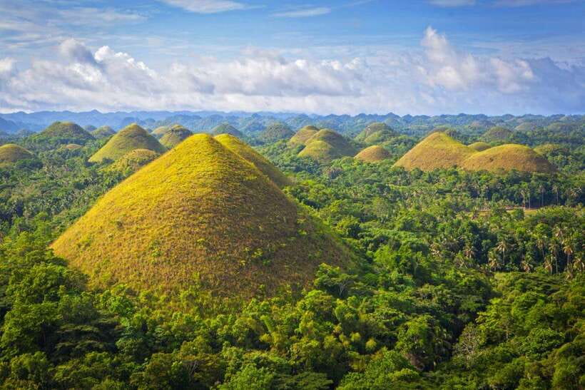 From Cebu City: Bohol Island Highlights in One Day - Chocolate Hills, Bohol’s famous first big view