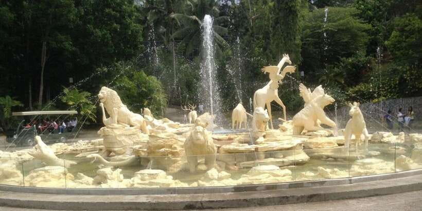 From Cebu City: Cebu Safari and Adventure Park Day Tour - The bird show and its fixed performance times