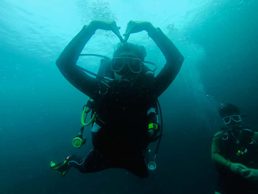 From Cebu City: Scuba Diving with Whale Sharks Trip in Oslob - The 5:00 AM start from Cebu City