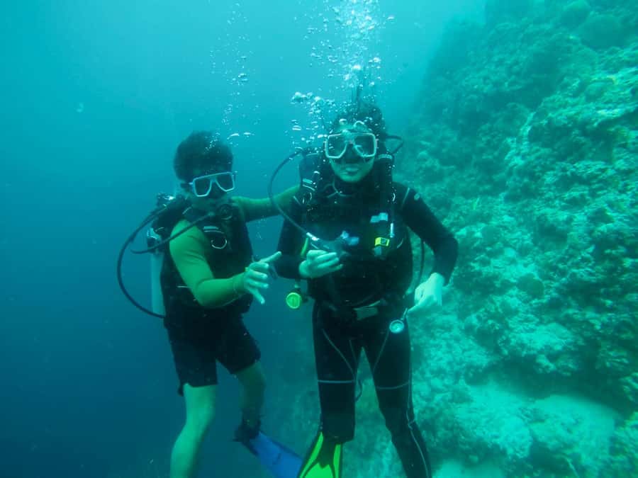 From Cebu City: Scuba Diving with Whale Sharks Trip in Oslob - The private transfer and the value of $172