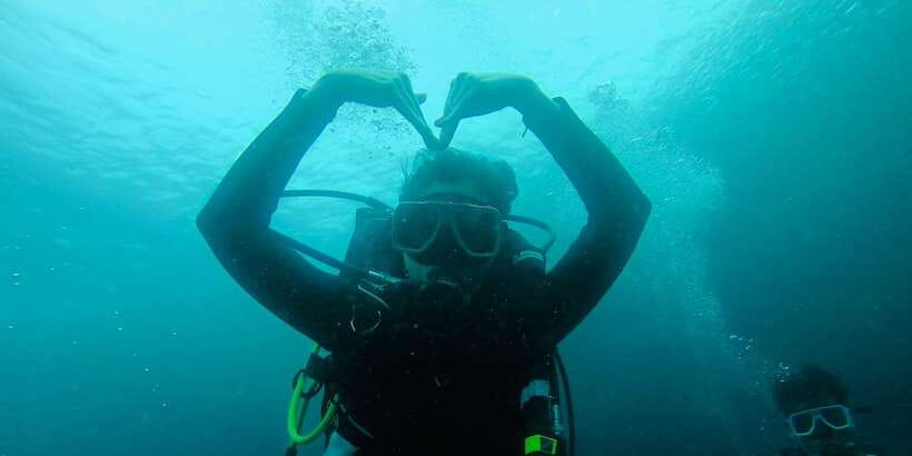 From Cebu City: Scuba Diving with Whale Sharks Trip in Oslob - Communication and the guide’s role