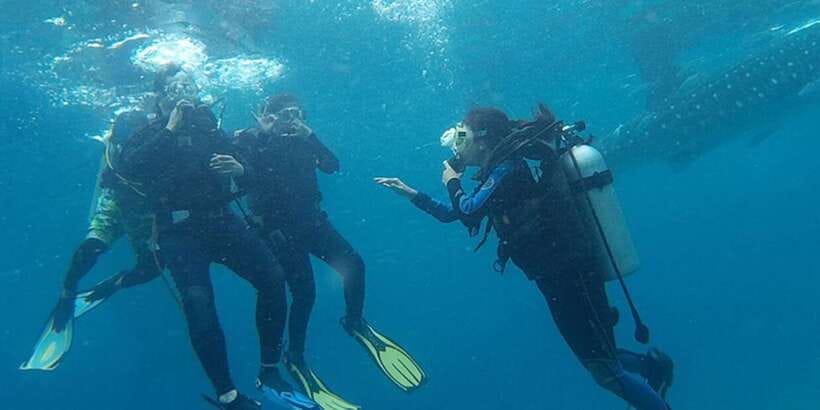 From Cebu City: Scuba Diving with Whale Sharks Trip in Oslob - Who should book this Oslob experience