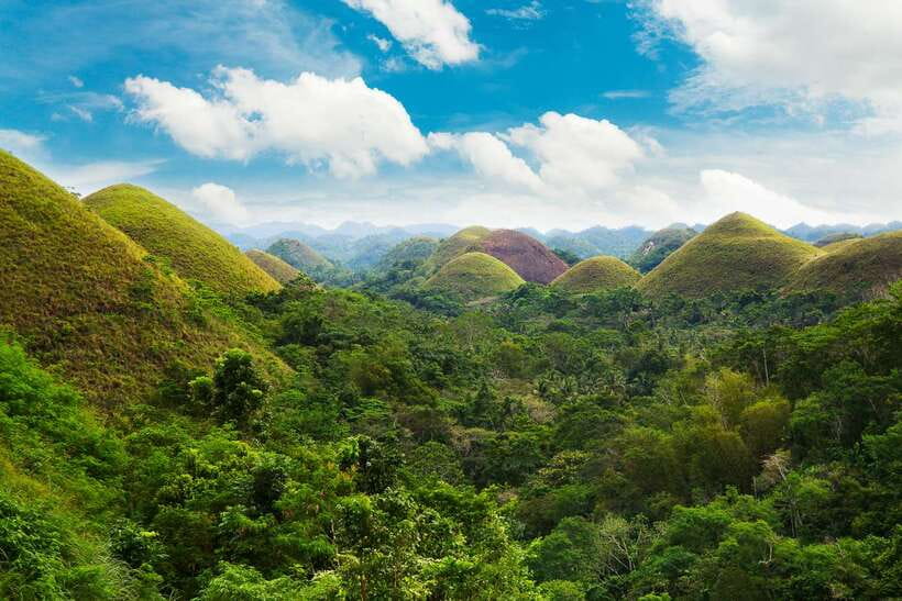 From Cebu: Day Trip to Bohol Highlights - Key points at a glance