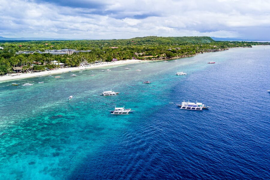 From Cebu: Day Trip to Bohol Highlights - Bilar Man-Made Forest and the nipa palm village