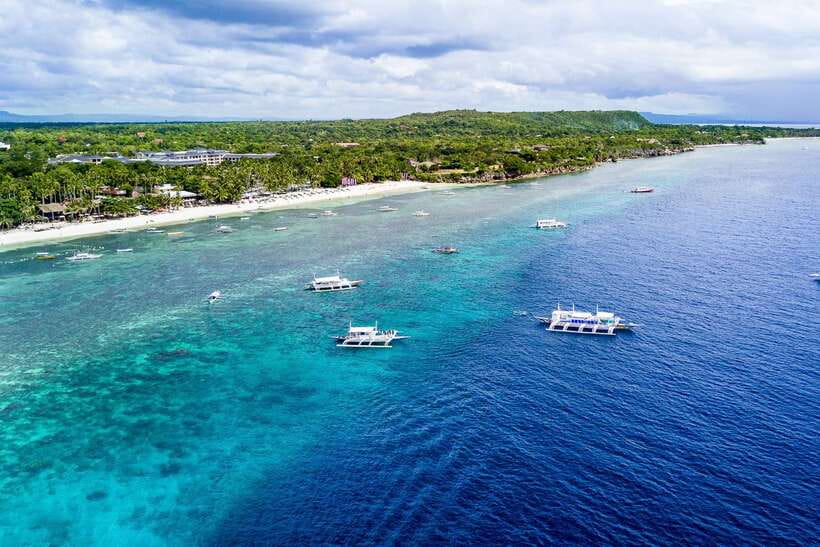 From Cebu: Day Trip to Bohol Highlights - Tarsiers, small animals with strict viewing rules