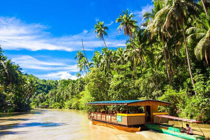 From Cebu: Day Trip to Bohol Highlights - Chocolate Hills and the climb to the viewpoint