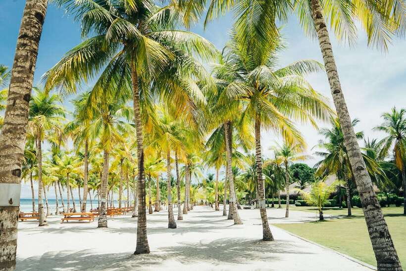 From Cebu: Day Trip to Bohol Highlights - The early start and fast ferry to Tagbilaran