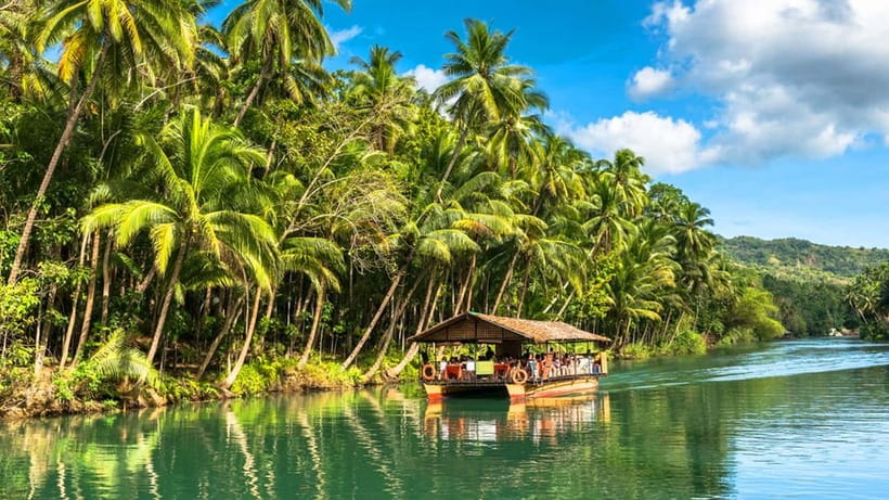 From Cebu: Full-Day Bohol Excursion - Why this Bohol day trip packs in so much