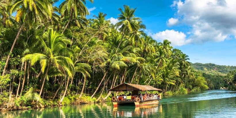 From Cebu: Full-Day Bohol Excursion - The guide makes a major difference