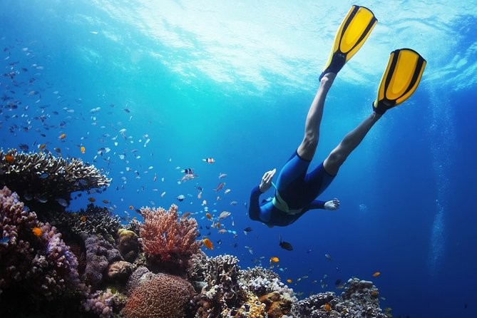 From Cebu: Island Hopping to 3 islands with BBQ lunch - Getting from Cebu hotels to the sea