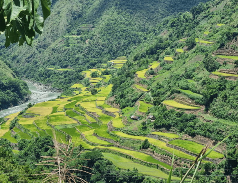 From Manila: 2-Day Buscalan Tour with Apo Whang-od - What the $135 price really covers