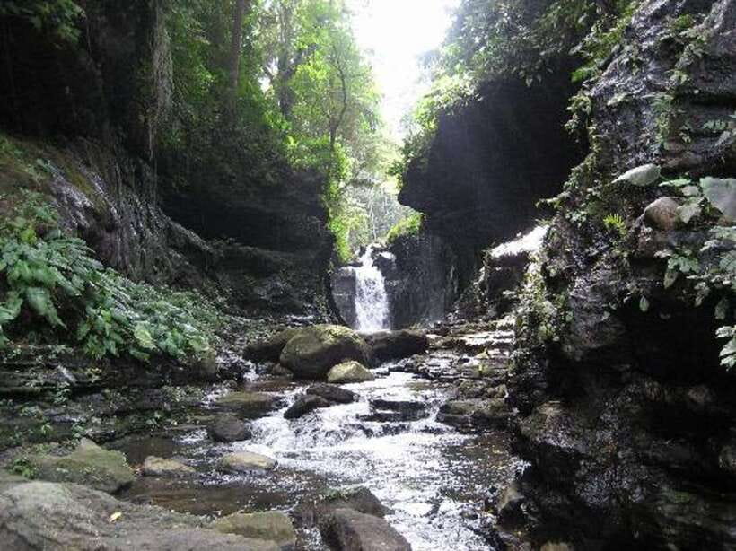 From Manila: Day Tour to Enchanting Hidden Valley - What makes Hidden Valley special