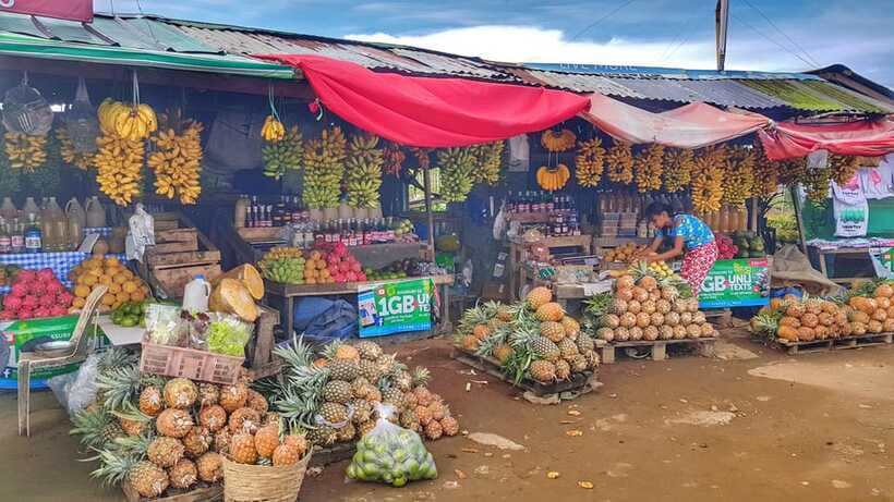 From Manila: Tagaytay Countryside Wonders: A Half-Day Tour - Timing, traffic, and weather