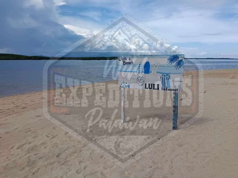 From Puerto Princesa: Honda Bay Island Hopping Full-Day Tour - Starfish Island and the picnic lunch