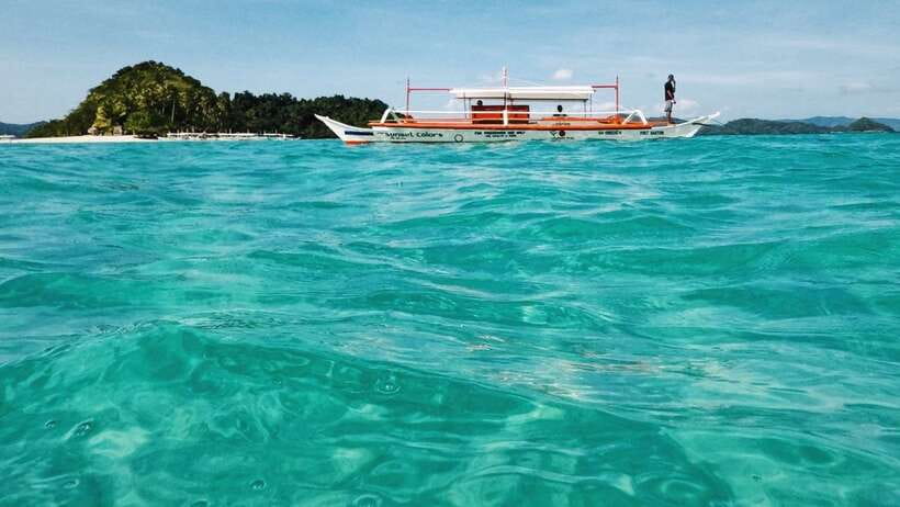 From Puerto Princesa: Port Barton & Island Hopping Day Trip - Turtle Spot and the Limits of Wildlife Sightings