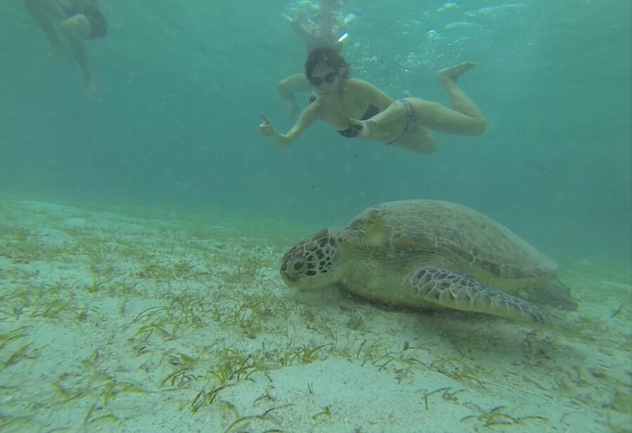 From Puerto Princesa: Port Barton & Island Hopping Day Trip - What the $90 Price Really Buys You