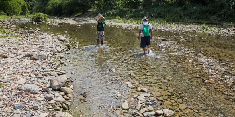 From Puerto Princesa: Trek to Batak Tribe Village - What the cultural explanation adds