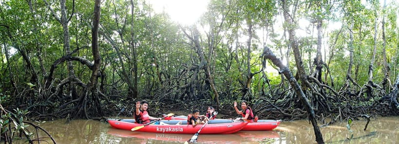 From Tagbilaran City/Panglao Island: Bohol Mangrove Kayaking - Why the Abatan River is worth your time