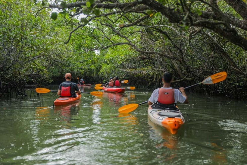 From Tagbilaran City/Panglao Island: Bohol Mangrove Kayaking - Getting ready: safety, gear, and the first paddle
