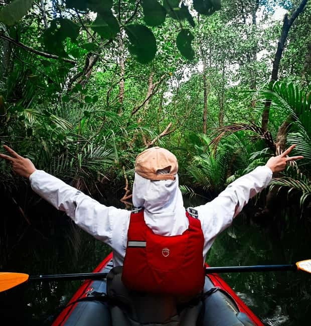 From Tagbilaran City/Panglao Island: Bohol Mangrove Kayaking - The conservation story behind the roots