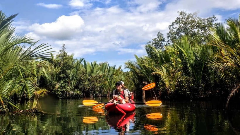From Tagbilaran City/Panglao Island: Bohol Mangrove Kayaking - From Panglao or Tagbilaran to the river station