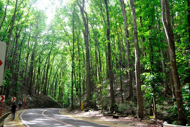 Full-Day Bohol Excursion - depart Cebu (Best Seller) - Why this Cebu to Bohol day trip works