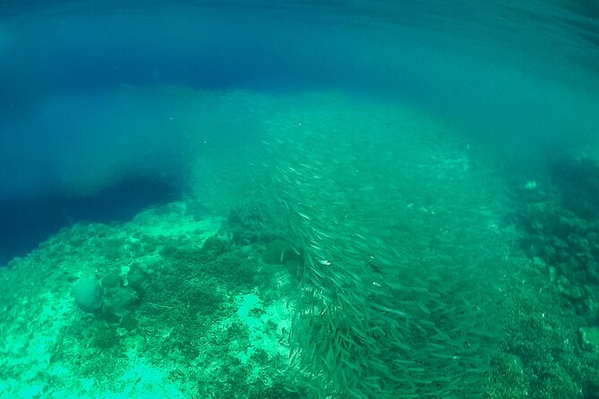 Full-Day Moalboal Islands and Kawasan Falls Small-Group Tour from Cebu - Small-group setup and personal attention