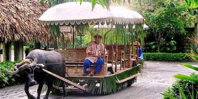 Full Day Tour Villa Escudero Plantation - The cultural performance before returning