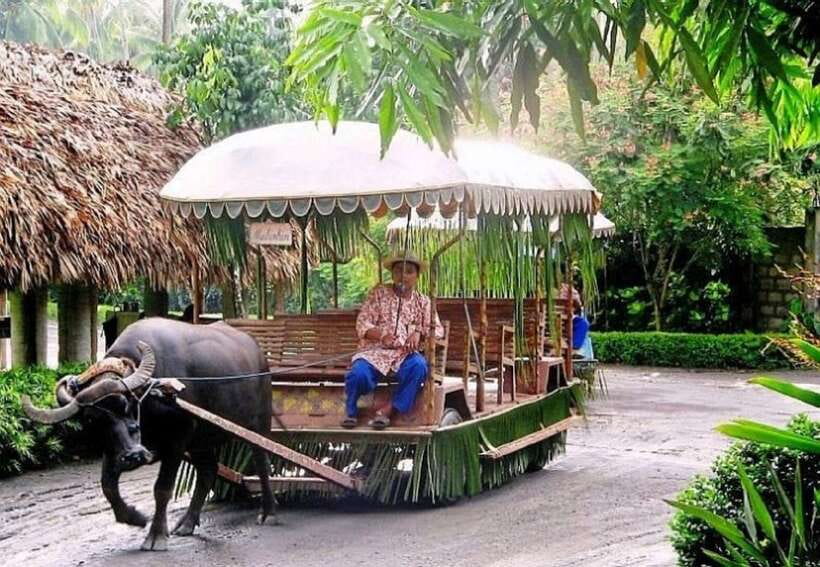 Full Day Tour Villa Escudero Plantation - The drive south and hotel pickup