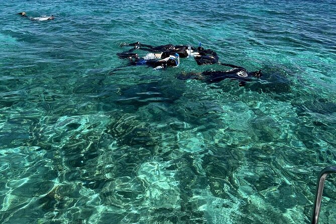Half day tour with Snorkel at Sancturary and Sulpa island - A 30-minute stop on Sulpa Islet