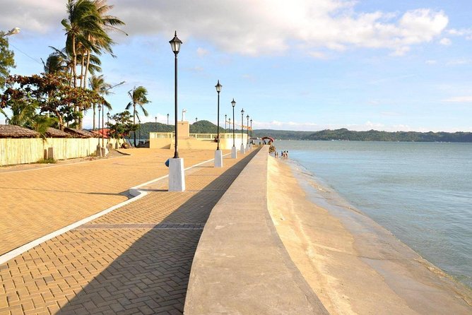 Iloilo City Tour (Garin Farm, Molo Mansion/Church, Vanishing Mansion) - Key points before you book