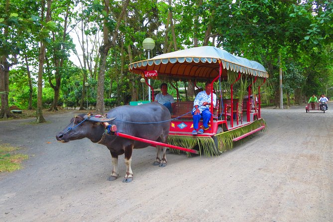 Immerse in Culture: Villa Escudero Coconut Plantation Experience - Arriving at Villa Escudero among the coconut palms