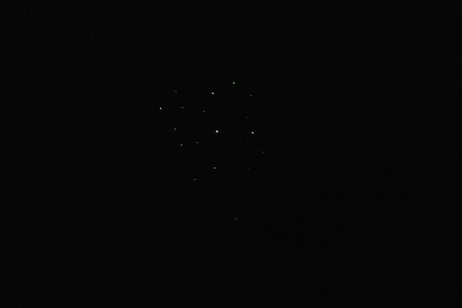Joiners Firefly Watching Tour - Why this night tour works in Palawan