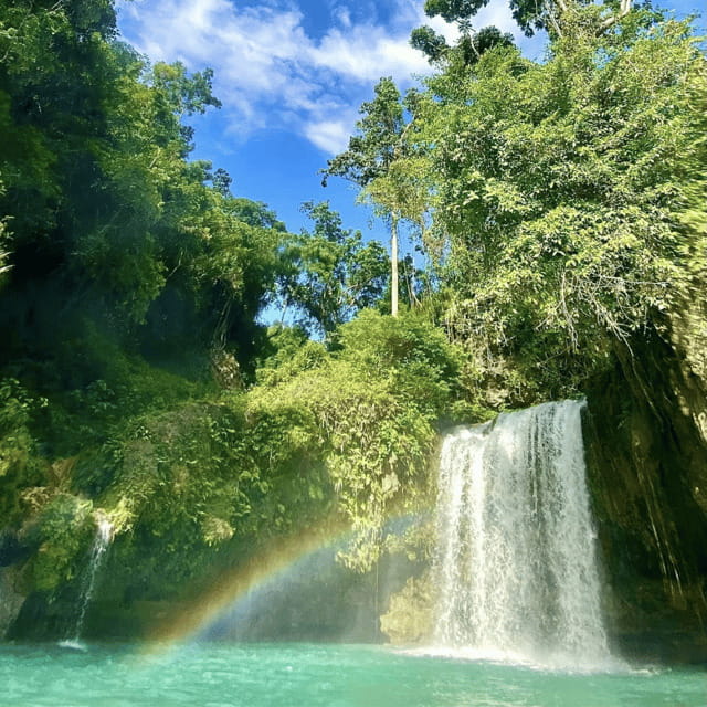 Kawasan Falls Canyoneering Transfers from Cebu with Lunch - Key points before you book